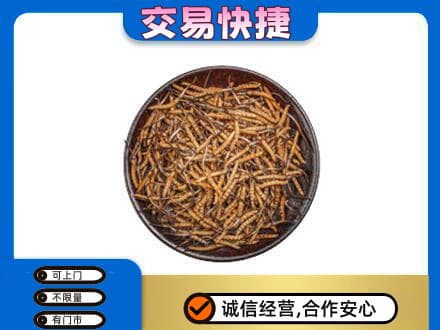 林周县回收散虫草